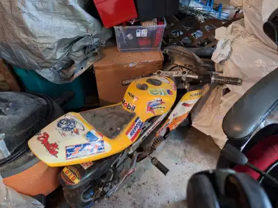 OBO Come take a look at it