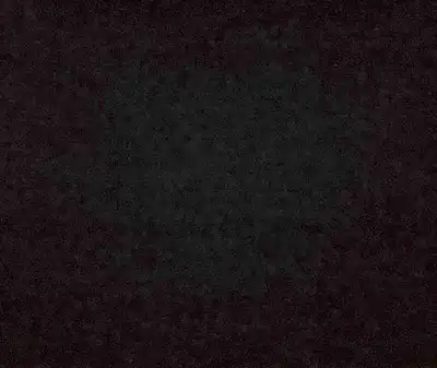 looking for button quail hatching eggs , View more