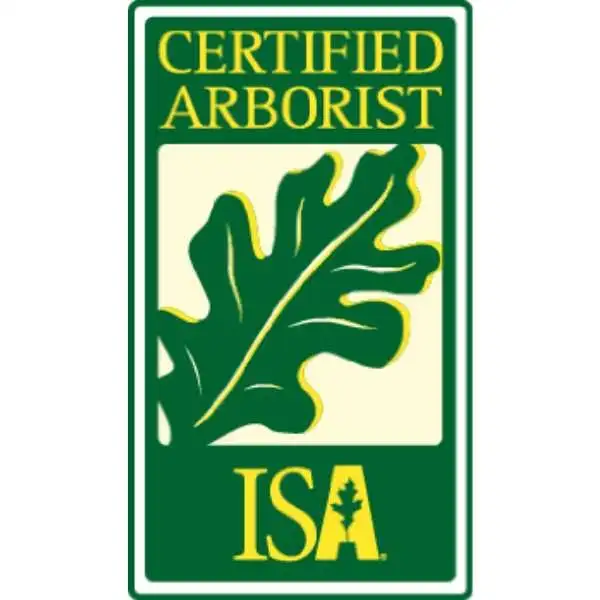 Tree service *ISA certified arborist* NW in Other in Calgary - Image 7