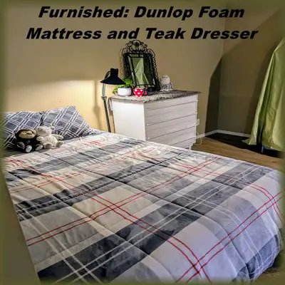 Looking for ONE, kind, respectful ROOMMATE working in North Nanaimo (or VIU student) to share our we...