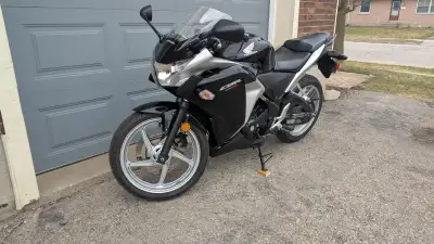 Female rider since new, fresh fluids and filters, iridium plug, new brake pads, Michelin pilot Stree...