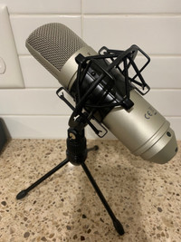 Tascam TM-80 Recording Microphone