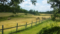 PASTURE FOR RENT