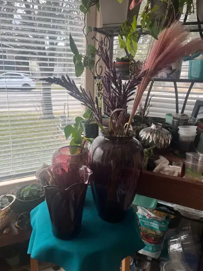 Collection of three Plum Vases, View more