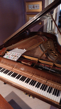 Piano tuner
