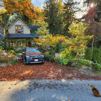 Hartley House offers travelers a truly memorable stay in beautiful Nelson, British Columbia. Our fou...