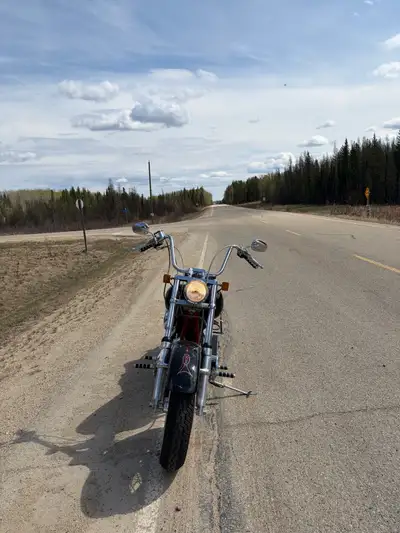 Open to trades 2005 Custom Harley Davidson 1984 Frame from a Heritage Soft tail Freshly Rebuilt EVO...