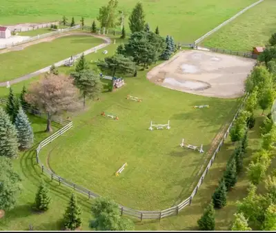 Horse boarding and lessons available in Bradford, View more