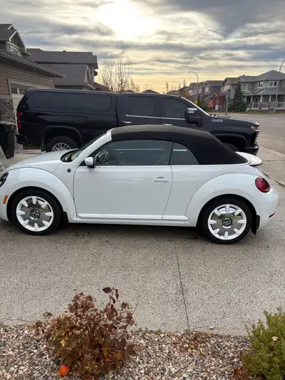 We are selling our 2019 Beetle. It is a convertible,Wolfsburg edition. Never winter driven. Always s...
