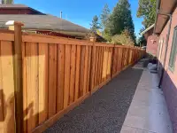 Cedar Fence 