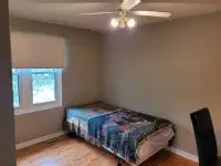 Clean quiet room for rent