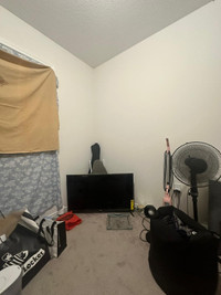 Room available for rent in west brant personal/sharing