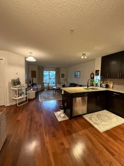 Welcome home to this meticulously cared-for, open-concept 1-bedroom condo in Larkspur. Offering pred...