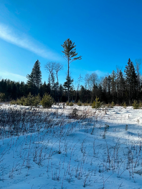 Vacant land , building lots in Land for Sale in Peterborough