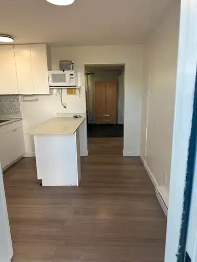 Bachelor Suite for Rent