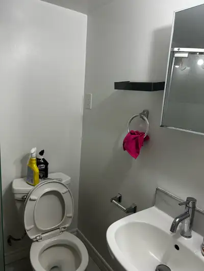 looking for roommate