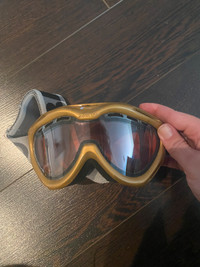 Briko mens Ski goggles