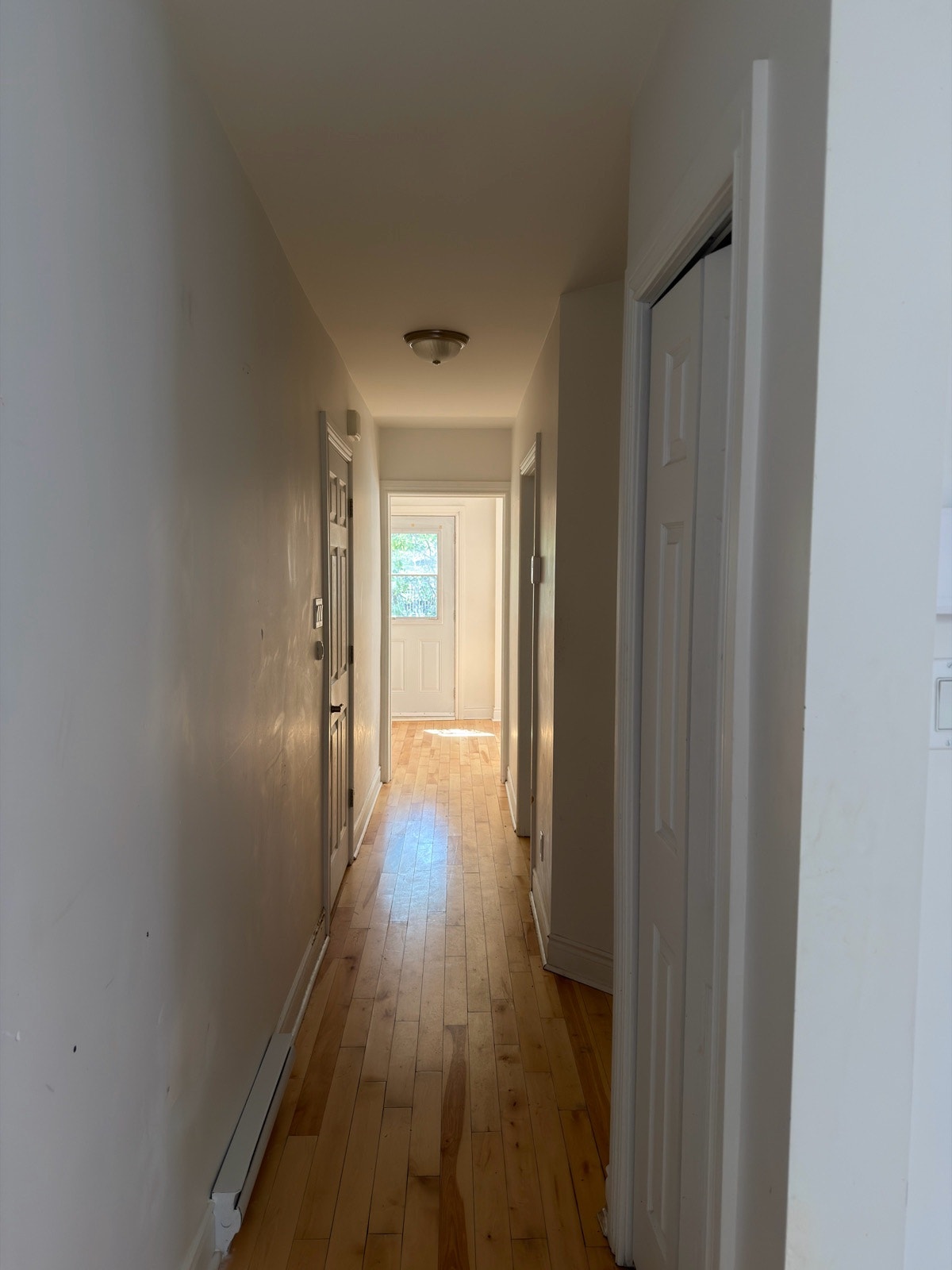3250 Rue Masson — photo 1