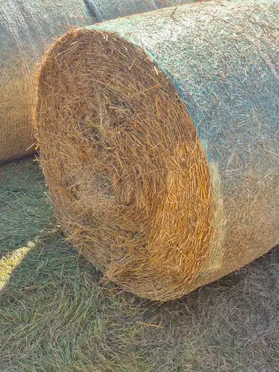 oat straw bales, View more