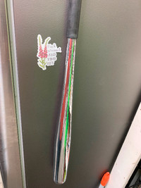 Polished baseball bat