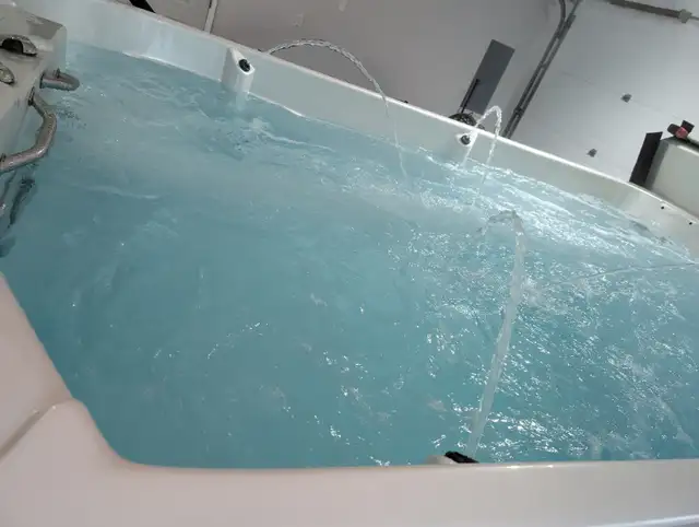swim spa in Exercise Equipment in Prince George - Image 6