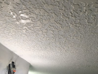 Professional Knock Down Ceiling &Decoration 