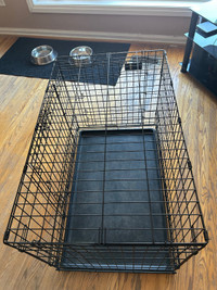 Dog cage (36 length, width 22, height 24) inch's