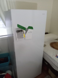 8 month old upright freezer