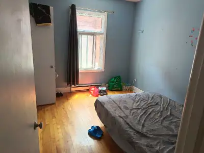 Chambre à louer – 650 $/mois (tout inclus) Une chambre est disponible dans un 4 à à partir du 1 Août...