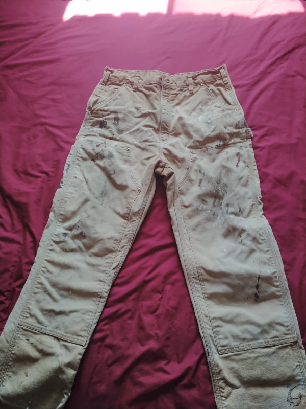 Carhartt insulated work pants Men s Sault Ste. Marie Kijiji
