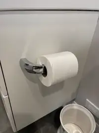 Moen Zarina toilet paper holder