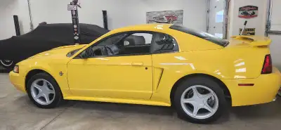 Mint Gt 35 th Anniversary Mustang 13,500 KM Will look at trades ( Harley Road King ) Low km nothing...