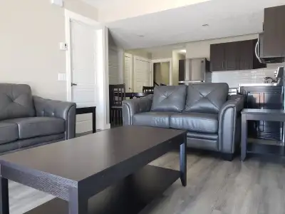 Furnished One Bedroom Walkout Basement Apt for Rent