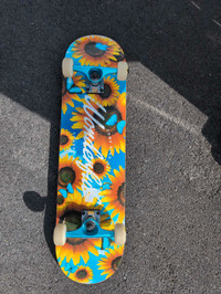 Skate 40$