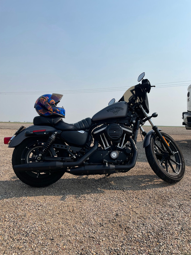 2016 Harley Davidson sportster  in Street, Cruisers & Choppers in Saskatoon