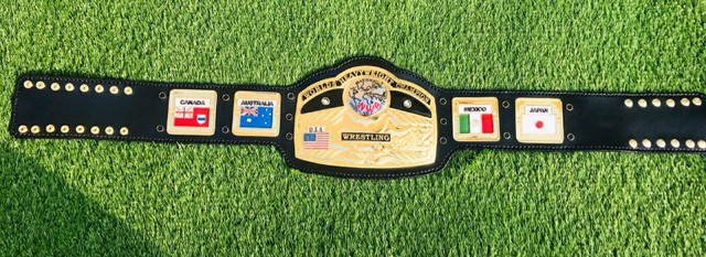 Domed Globe NWA World Heavyweight  Championship Belt Replica in Arts & Collectibles in Oakville / Halton Region