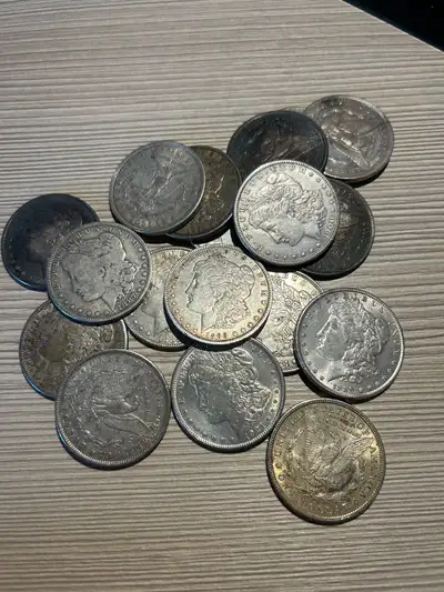 Morgan Silver Dollars, View more