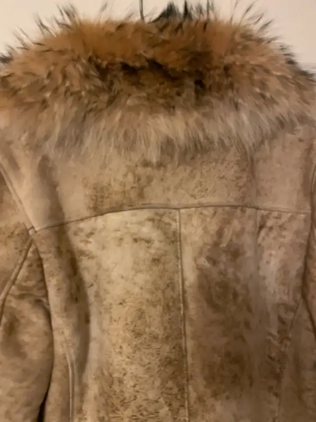 shearling coat jacket in Women's - Tops & Outerwear in Oakville / Halton Region - Image 7