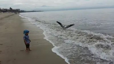 MEXICO, beautiful beach front condo, Nuevo Vallarta, View more