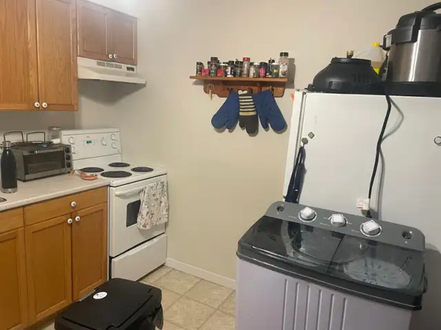 Looking for housemate 2 bed 1 bath May 1st 683+utilites Truro in Long Term Rentals in Truro - Image 12