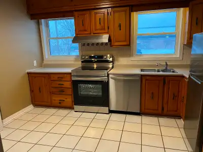 2 level, 2 bedroom apartment in the heart of Orleans ideal for singles or couple ONLY. Combination o...