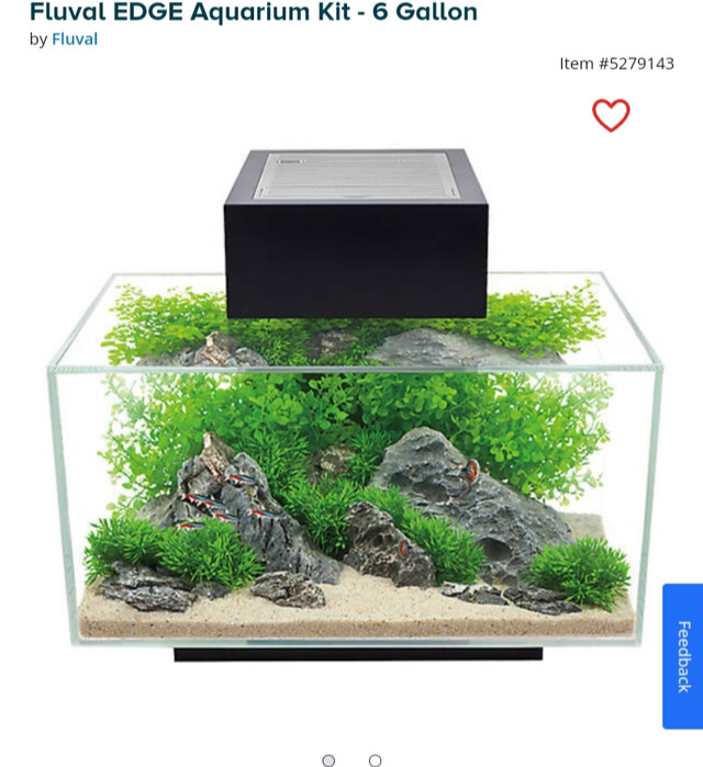 Fluval edge 6 gallon (yes its available) in Fish for Rehoming in Saint John - Image 2
