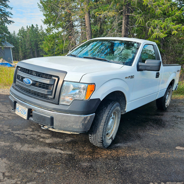2014 Ford F150 4x4 in Cars & Trucks in Cranbrook - Image 2