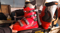 Salomon Ski Boots in Good Shape