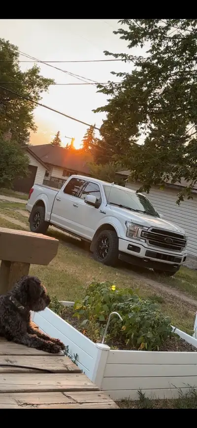 Just throwing up the idea of selling my 2019 f150 limited if you are Interested shoot me a message I...