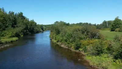 This is not a job posting. It’s also not a traditional accommodations posting. Thank you for stoppin...