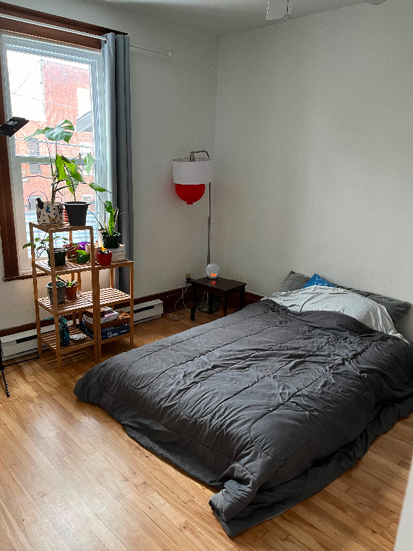 May-June private room - female only in Room Rentals & Roommates in City of Montréal - Image 4