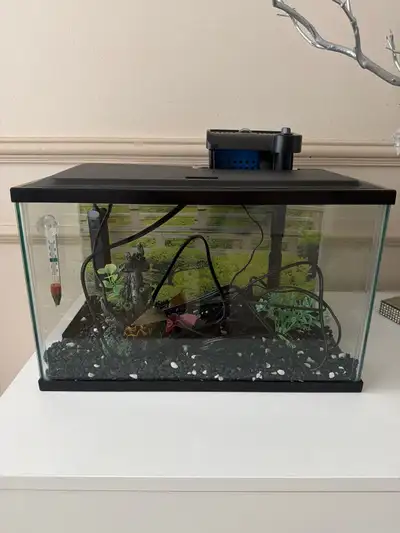Top Fin - 5 gallon fish tank , View more