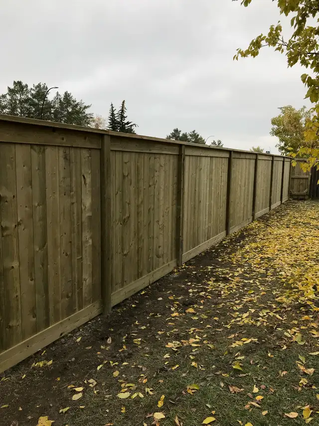 Full Service Landscaping Services 547959415180503044