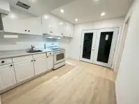 1 bedroom walkout basement in downtown Toronto